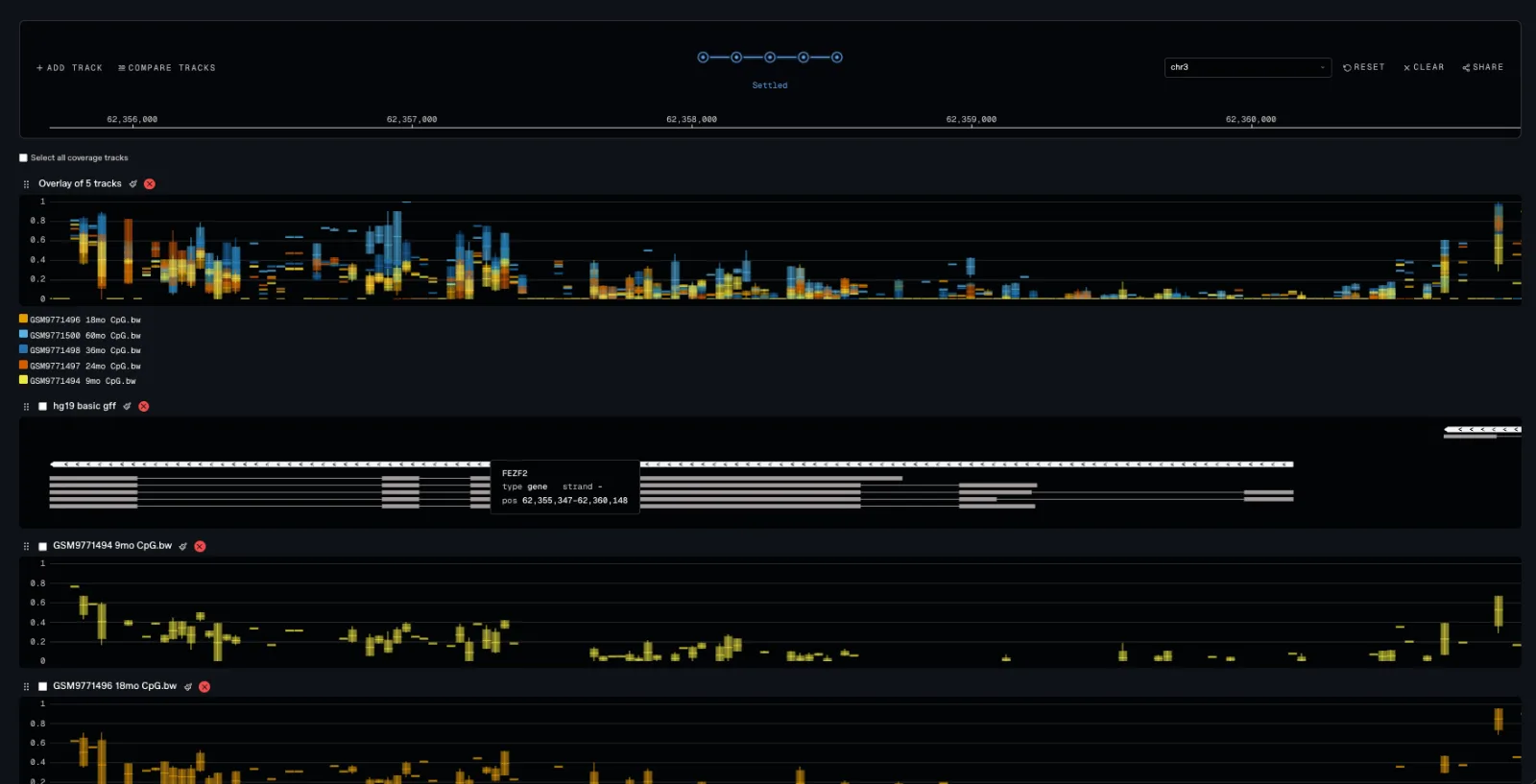 Track Stacks in Tellus at the FEZF2 locus on chromosome 3. Five CpG methylation tracks from 9 to 60 months are overlaid in colour across the gene body, with the hg19 annotation and individual timepoint tracks beneath.