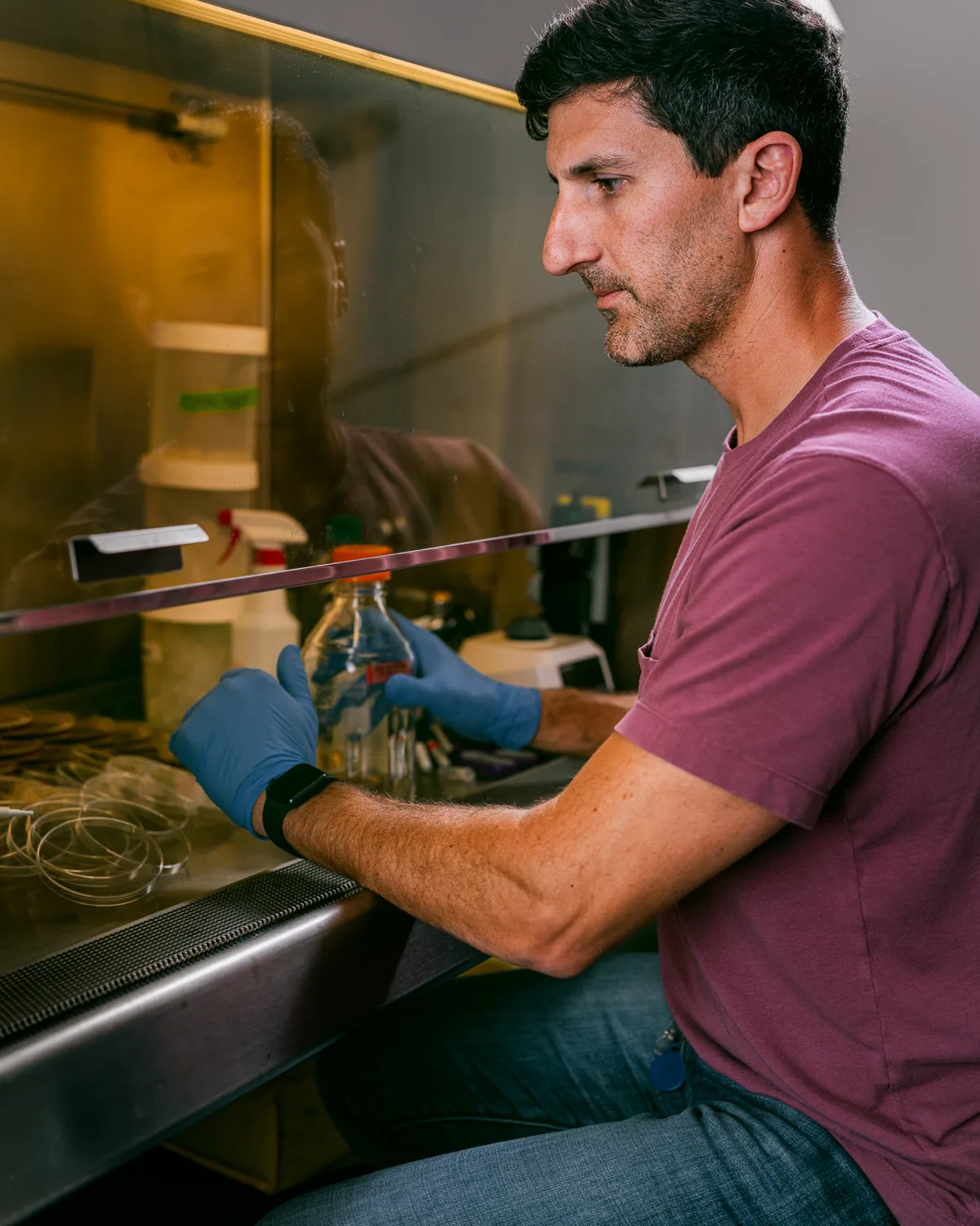 A scientist working with culture plates inside a biosafety cabinet.